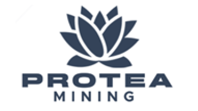 Protea